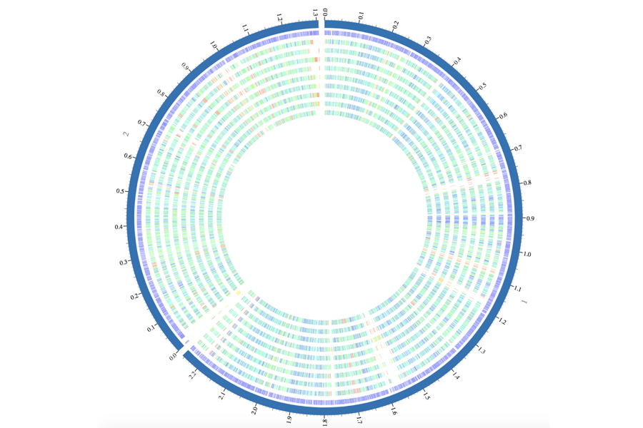 New Bioinformatics Hub at UChicago Enables Next-Gen Infectious Disease Research